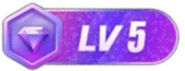 LV5 等级-LV5昊趣阁资源网昊趣阁资源网
