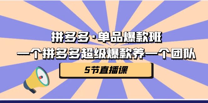 拼多多·单品爆款班，一个拼多多超级爆款养一个团队（5节直播课）昊趣阁资源网昊趣阁资源网