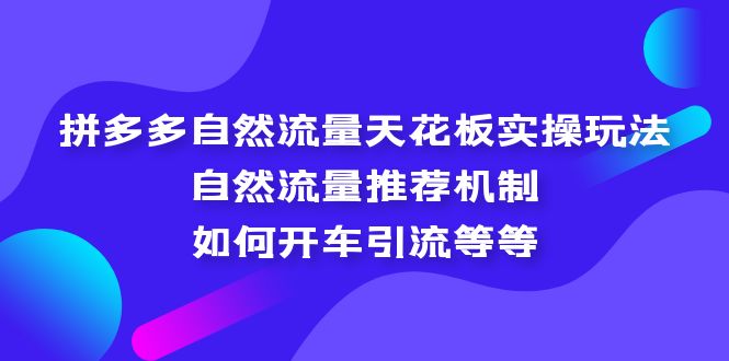 拼多多自然流量天花板实操玩法：自然流量推荐机制，如何开车引流等等昊趣阁资源网昊趣阁资源网