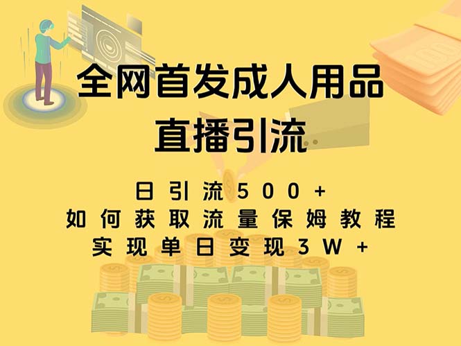 最新全网独创首发，成人用品直播引流获客暴力玩法，单日变现3w保姆级教程昊趣阁资源网昊趣阁资源网