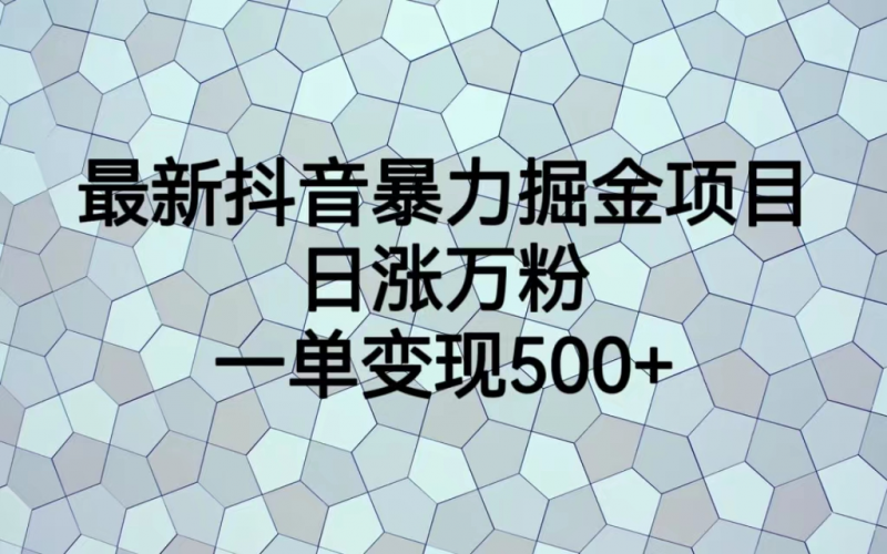 最火热的抖音暴力掘金项目，日涨万粉，多种变现方式，一单变现可达500+昊趣阁资源网昊趣阁资源网