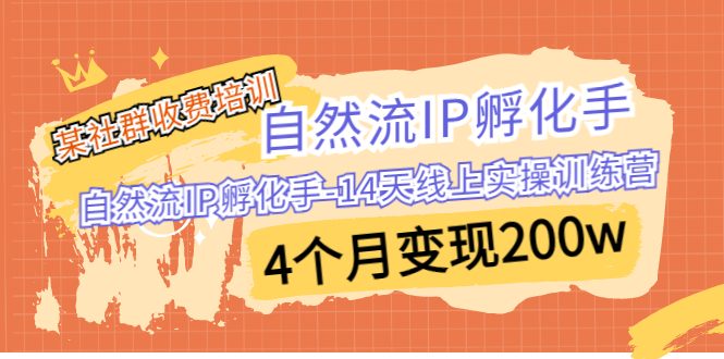 某社群收费培训：自然流IP 孵化手-14天线上实操训练营 4个月变现200w昊趣阁资源网昊趣阁资源网