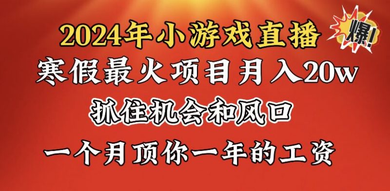2024年寒假爆火项目,小游戏直播月入20w+,学会了之后你将翻身昊趣阁资源网昊趣阁资源网
