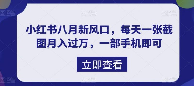 八月新风口，小红书虚拟项目一天收入1000+，实战揭秘昊趣阁资源网昊趣阁资源网