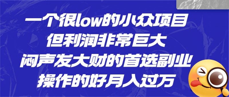 一个很low的小众项目,但利润非常巨大,闷声发大财的首选副业,月入过万昊趣阁资源网昊趣阁资源网