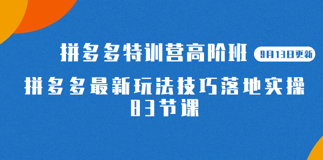 2023拼多多·特训营高阶班【9月19日更新】拼多多最新玩法技巧落地实操-83节昊趣阁资源网昊趣阁资源网