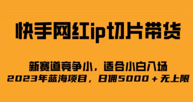 快手网红ip切片新赛道，竞争小事，适合小白 2023蓝海项目昊趣阁资源网昊趣阁资源网