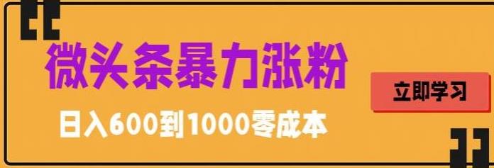微头条暴力涨粉技巧搬运文案就能涨几万粉丝，简单0成本，日赚600昊趣阁资源网昊趣阁资源网