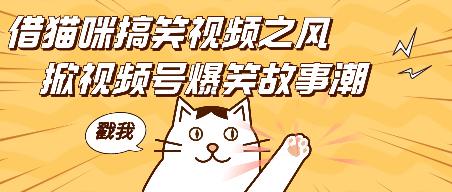 借猫咪搞笑视频之风,掀视频号爆笑故事潮,轻松日赚四位数,开启无门槛赚钱新体验!昊趣阁资源网昊趣阁资源网