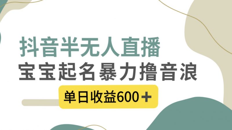 抖音半无人直播，宝宝起名，暴力撸音浪，单日收益600+昊趣阁资源网昊趣阁资源网
