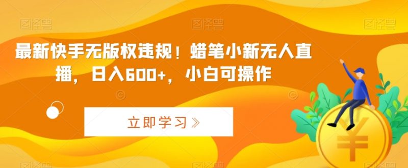 最新快手无版权违规！蜡笔小新无人直播，日入600+，小白可操作昊趣阁资源网昊趣阁资源网