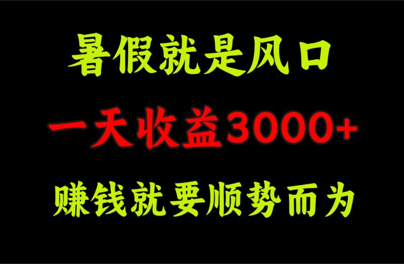 一天收益3000+ 赚钱就是顺势而为,暑假就是风口昊趣阁资源网昊趣阁资源网