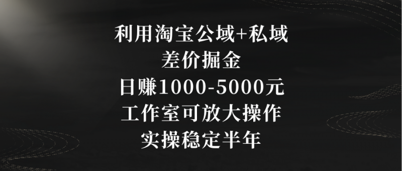 利用淘宝公域+私域差价掘金，日赚1000-5000元，工作室可放大操作，实操…昊趣阁资源网昊趣阁资源网