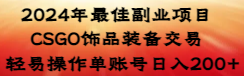 2024年最佳副业项目 CSGO饰品装备交易 轻易操作单账号日入200+昊趣阁资源网昊趣阁资源网