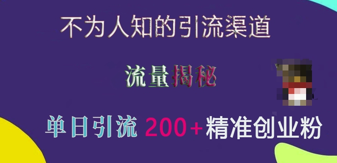 不为人知的引流渠道,流量揭秘,实测单日引流200+精准创业粉【揭秘】昊趣阁资源网昊趣阁资源网