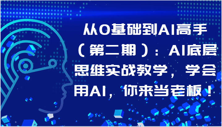 从0基础到AI高手（第二期）：AI底层思维实战教学，学会用AI，你来当老板！昊趣阁资源网昊趣阁资源网
