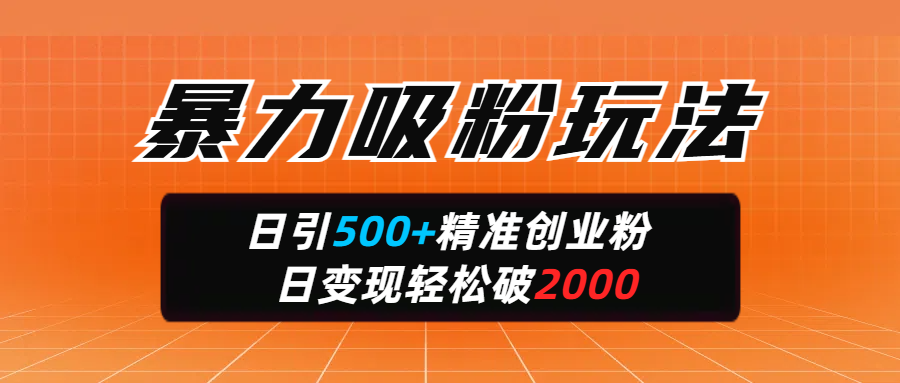 暴力吸粉玩法，日引500+精准创业粉，日变现轻松破2000昊趣阁资源网昊趣阁资源网