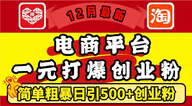 12月最新：电商平台1元打爆创业粉，简单粗暴日引500+精准创业粉，轻松月入过W【揭秘】昊趣阁资源网昊趣阁资源网