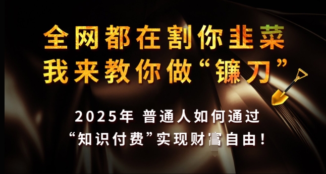 全网都在割你韭菜，我来教你做镰刀，2025年普通人如何通过 知识付费 实现财F自由【揭秘】昊趣阁资源网昊趣阁资源网