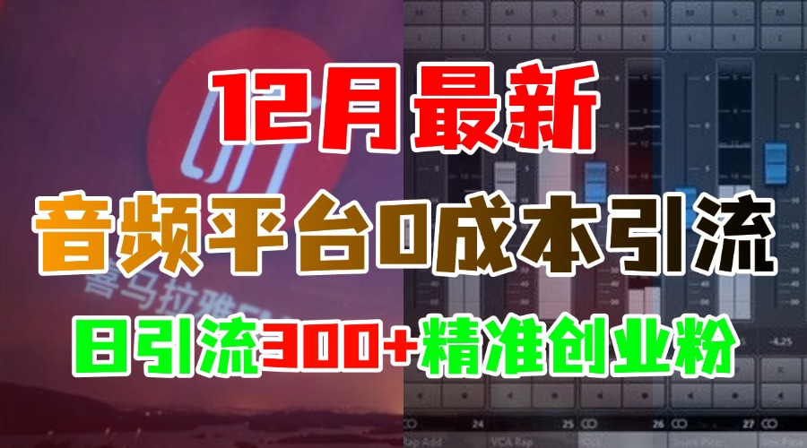 12月最新：音频平台0成本引流，日引300+精准创业粉昊趣阁资源网昊趣阁资源网
