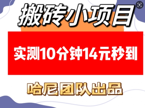 搬砖小项目,实测10分钟14元秒到,每天稳定几张(赠送必看稳定)昊趣阁资源网昊趣阁资源网
