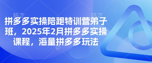 拼多多实操陪跑特训营弟子班，2025年2月拼多多实操课程，海量拼多多玩法昊趣阁资源网昊趣阁资源网