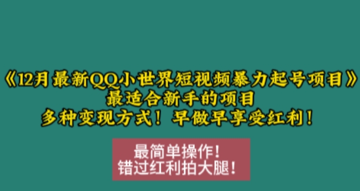 12月最新QQ小世界短视频暴力起号项目,最适合新手的项目,多种变现方式昊趣阁资源网昊趣阁资源网