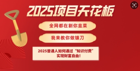 2025项目天花板普通人如何通过知识付费,实现财F自由【揭秘】昊趣阁资源网昊趣阁资源网
