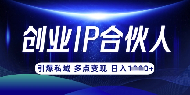 云帆·创业ip合伙人打造3.0，从0到1教你做网创，实现月入过W昊趣阁资源网昊趣阁资源网