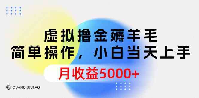 (9864期)虚拟撸金薅羊毛,简单操作,小白当天上手,月收益5000+昊趣阁资源网昊趣阁资源网
