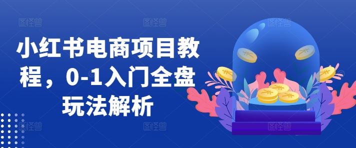 小红书电商项目教程，0-1入门全盘玩法解析昊趣阁资源网昊趣阁资源网