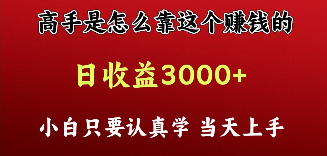 看高手是怎么赚钱的，一天收益至少3000+以上，小白当天上手昊趣阁资源网昊趣阁资源网