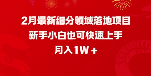 2月最新细分领域落地项目，新手小白也可快速上手，月入1W昊趣阁资源网昊趣阁资源网