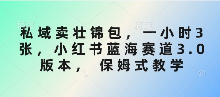 私域卖壮锦包，一小时3张，小红书蓝海赛道3.0版本， 保姆式教学昊趣阁资源网昊趣阁资源网
