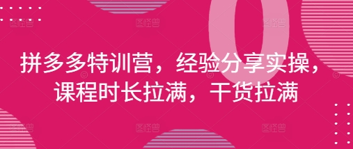 拼多多特训营,经验分享实操,课程时长拉满,干货拉满(更新25年4月)昊趣阁资源网昊趣阁资源网