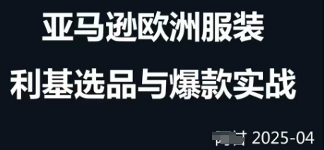 跨境电商选品案例24-25年,聚焦跨境电商选品策略与运营优化昊趣阁资源网昊趣阁资源网