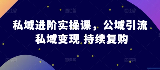 私域进阶实操课,公域引流 私域变现 持续复购昊趣阁资源网昊趣阁资源网