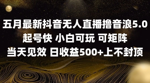 2025五月最新无人直播撸音浪单日产出5张+实操教程【揭秘】昊趣阁资源网昊趣阁资源网