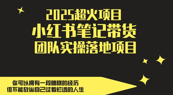 2025超火项目,副业最佳选择,小红书笔记带货团队实操落地项目,,轻松日入5张昊趣阁资源网昊趣阁资源网