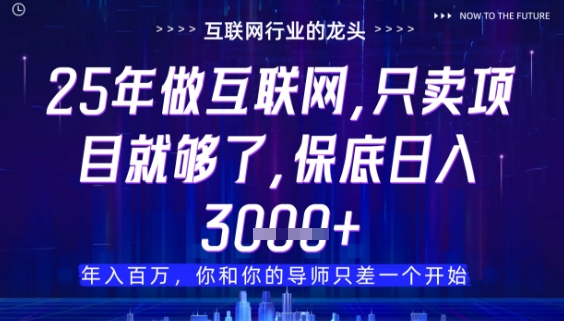 什么!25年你还在找项目做?风口早就变了,卖项目才是稳挣不赔【揭秘】昊趣阁资源网昊趣阁资源网