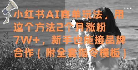 小红书AI商单玩法,用这个方法2个月涨粉7W+,新手也能接品牌合作(附全套指令模板)昊趣阁资源网昊趣阁资源网