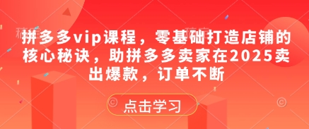 拼多多vip课程，零基础打造店铺的核心秘诀，助拼多多卖家在2025卖出爆款，订单不断昊趣阁资源网昊趣阁资源网