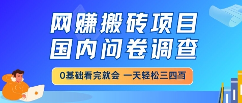 网创搬砖项目,国内问卷调查,小白轻松上手,一天三四张的也不难,干就完了【揭秘】昊趣阁资源网昊趣阁资源网