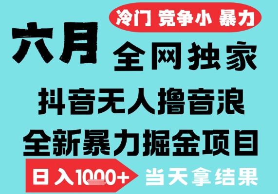 2025年6月高爆抖音无人直播最新撸音浪掘金项目,无脑日入1k+,低门槛小白可做,可矩阵放大【揭秘】昊趣阁资源网昊趣阁资源网