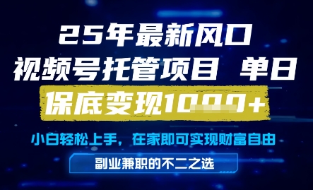 25年最新风口，视频号托管项目，单日保底变现1k+，手把手教学【揭秘】昊趣阁资源网昊趣阁资源网