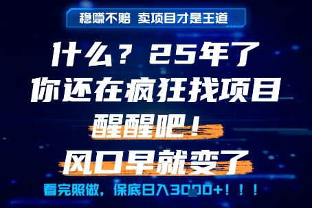 什么?25年你还在疯狂找项目做,醒醒吧,看完这些你全都懂了!【揭秘】昊趣阁资源网昊趣阁资源网