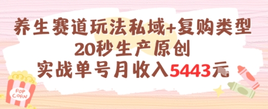 养生赛道玩法私域+复购类型,20秒生产原创实战单号月收入5k+昊趣阁资源网昊趣阁资源网