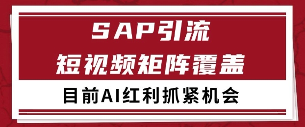 小红书某音sap赛道引流获客 自热矩阵日引200+【揭秘】昊趣阁资源网昊趣阁资源网