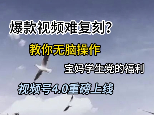 视频号4.0重磅上线,爆款视频难复刻?教你无脑操作宝妈学生党的福利【揭秘】昊趣阁资源网昊趣阁资源网