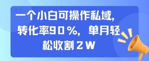 一个小白可操作私域,转化率90%,单月轻松收割2W昊趣阁资源网昊趣阁资源网